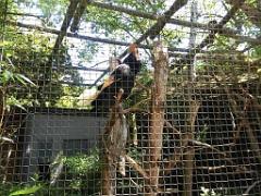 101PARC AUX OISEAUX DANS L AIN 2016 1_000044